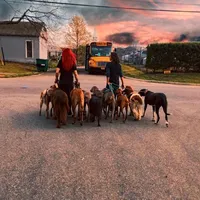 original sound - thedogmoms