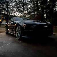 r_evans95
