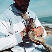 الصوت الأصلي