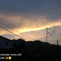 ariana_25018