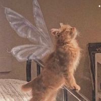 _julia_2812