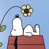 original sound - crazy_sounds05