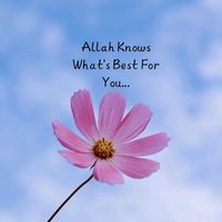 suara asli - TOKO BILQIS JANNAH