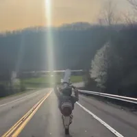 original sound - chrisspyrips303