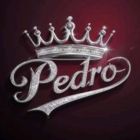 pedro.renoj.502