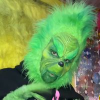 the_grinchwhostoletiktok