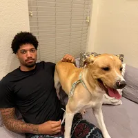 original sound - lawjon0