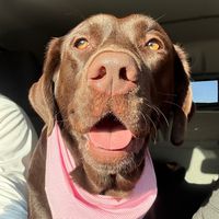 miaaathelab