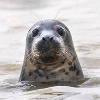 mallydamswildlife