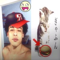 lokatrueno12