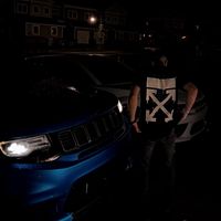 thatbluehawk