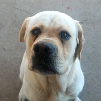 dontfollowmeontiktokever