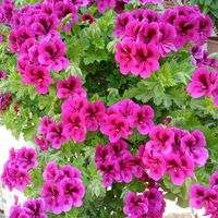mdemir_099