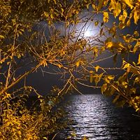 оригинальный звук