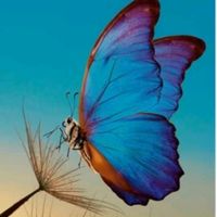 motivaretransformmar