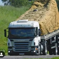 original sound - barbosajr56