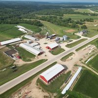 hingtgenfarms