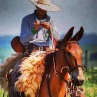 original sound - cavalgando_com_paixao