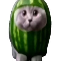 watermeloncat212