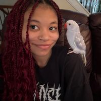 mymylorna