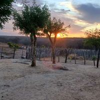 nordestinamentearretado