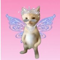 mipi_chula