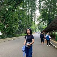 suara asli - Nawaa Nauraa Azhrr