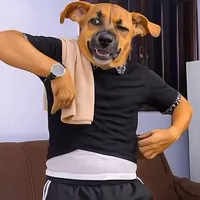 original sound - yourzenplace1