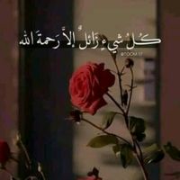 user315946200