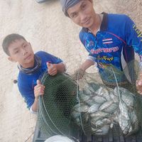 happyeak