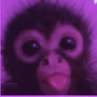 maddi13449