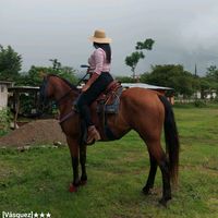 anayansi.yanez