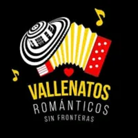 original sound - vallenato373
