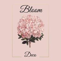 bloomdecolocation