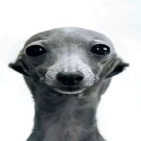 vianboi