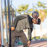 الصوت الأصلي