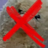 ihateduckymomo