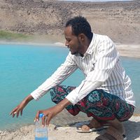 ahmeddallol1