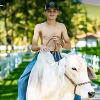 fc_pedroabelha
