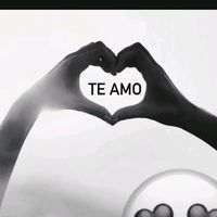 davi_5020