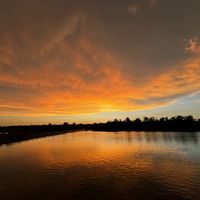 cai_dong_0304