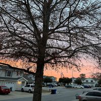 justastrangerwithbike