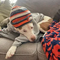 original sound - dtlawson16