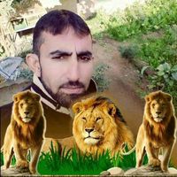 zameerhussain12313