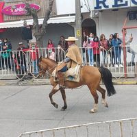 lucas.espinosa82