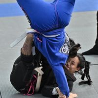 bjjnyr