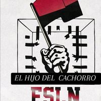 elpoderdeloscachorros