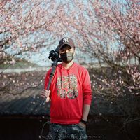 wilson_yao520