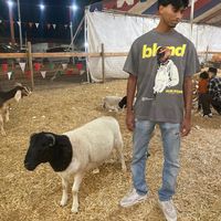 720 barrel stall no scope chidori