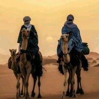 الصوت الأصلي